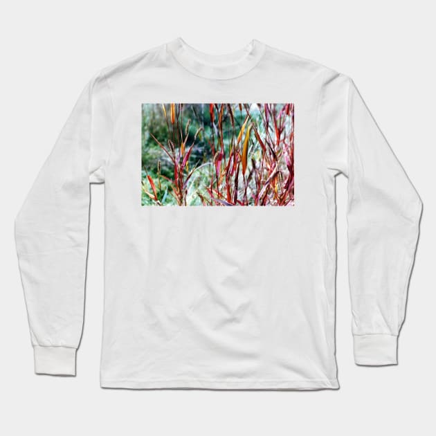 Grasses Long Sleeve T-Shirt by DANAROPER